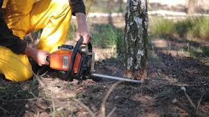Landscape Design and Installation in Bolingbrook, IL