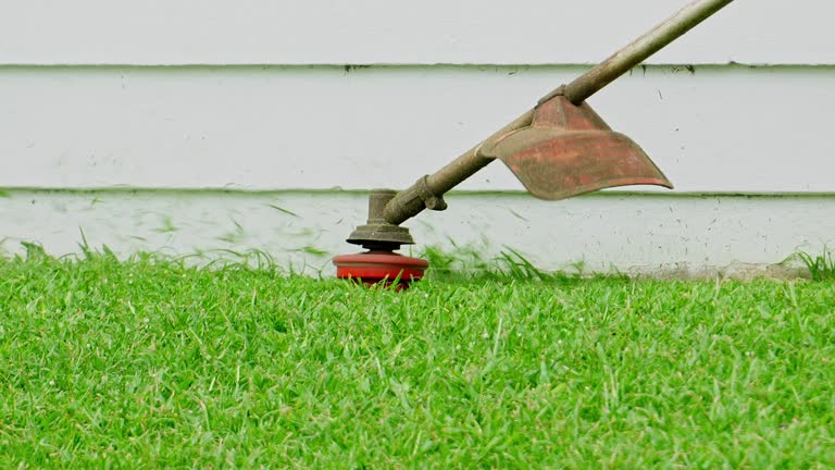 Bolingbrook, IL Tree Services Company