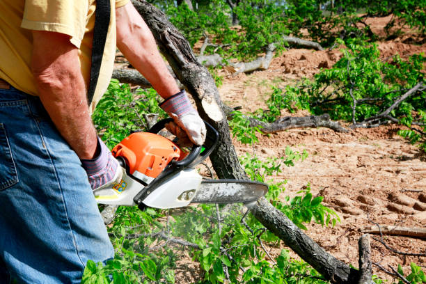 Lawn Maintenance Plans in Bolingbrook, IL